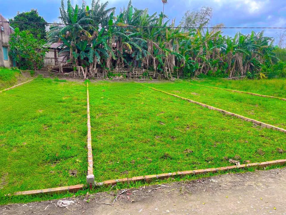 Đất nền Điện Hồng 300m² giá 600 triệu - Đầu tư sinh lời nhanh chóng!