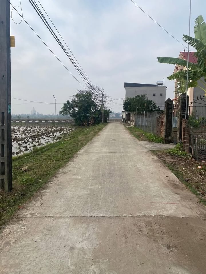 Đất nền chính chủ tại Xuân Lai, Gia Bình, Bắc Ninh 100m² - Giá chỉ 2 tỷ!