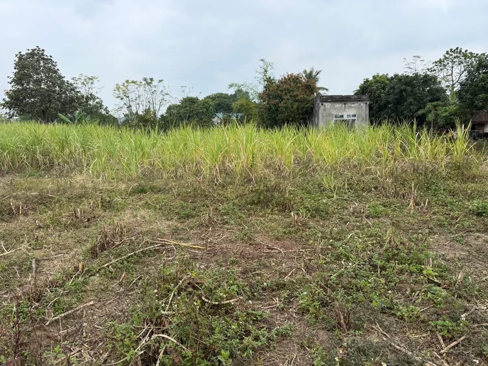 Đất nền Yên Thủy 1000m² giá chỉ 700 triệu - Mặt tiền 20 mét hấp dẫn!