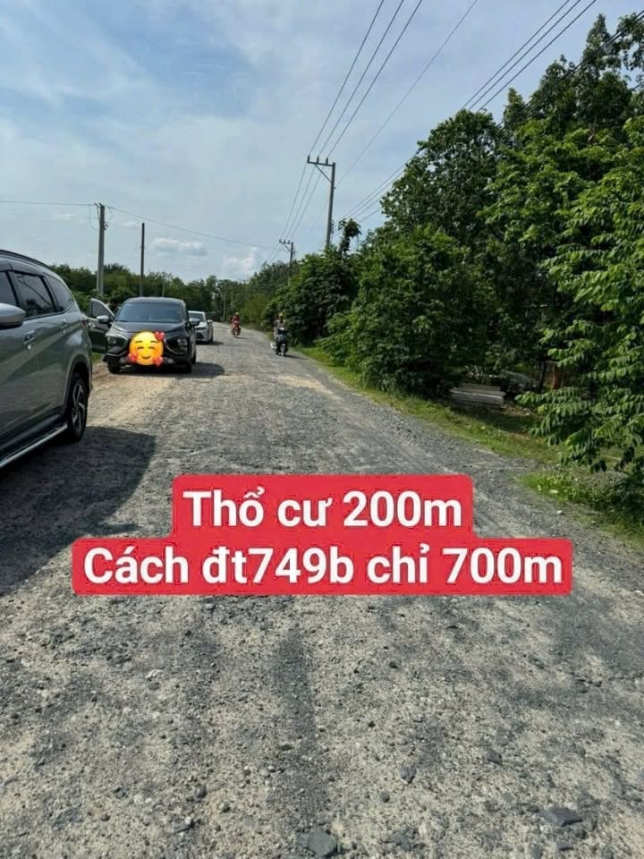 Đất nền Minh Hòa Dầu Tiếng 1500m² giá chỉ 1.2 tỷ - Cơ hội đầu tư tuyệt vời!