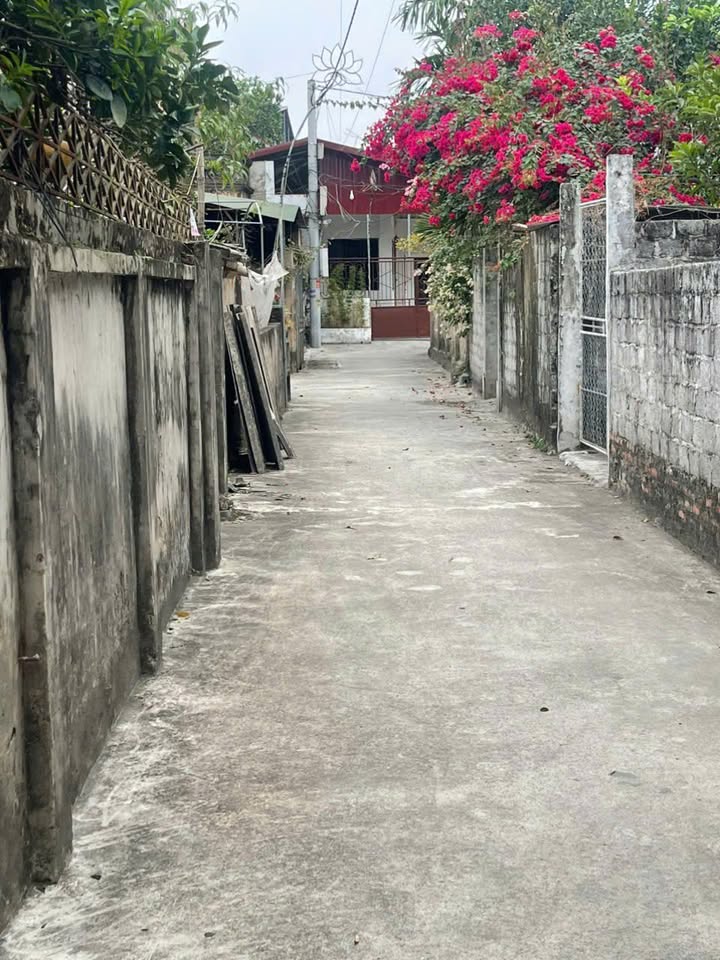 Đất nền Thôn Ngọ, Xã Chuyên Mỹ, 85m² - Sổ đỏ chính chủ, ô tô vào tận nơi!