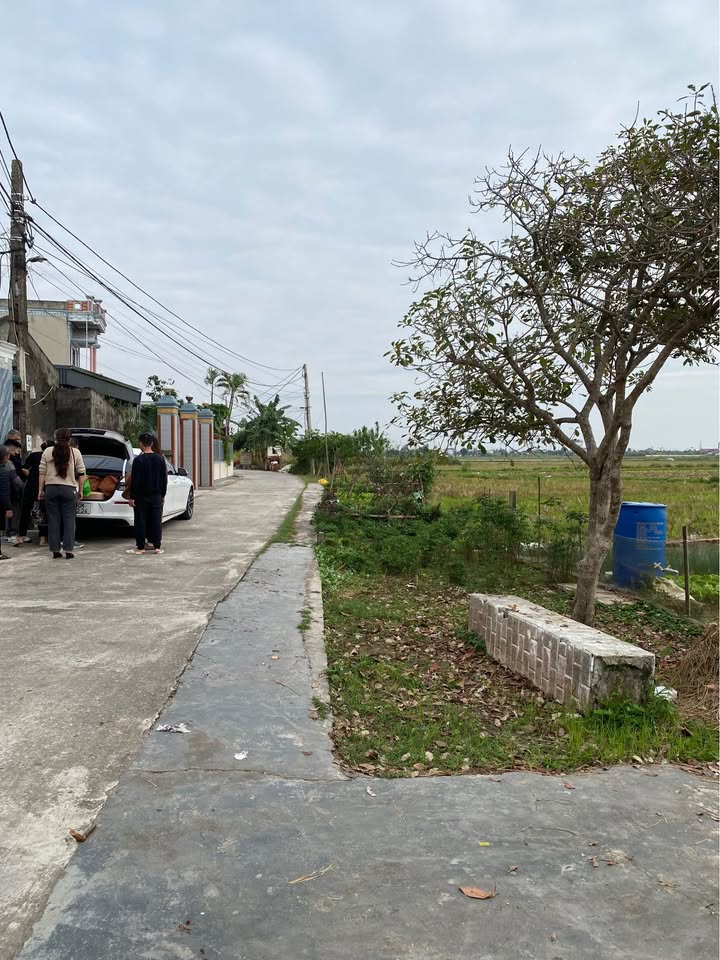 Bán Lô Biệt Thự 200m² Mặt Tiền 7m Tại Phong Châu, Đông Hưng - Giá Đầu Tư Chỉ 1.2 Tỷ!