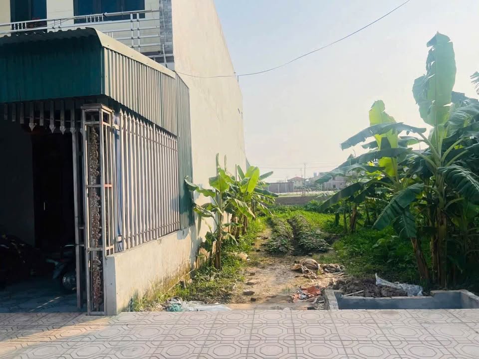 Đất nền Vân Trường, Tiền Hải 117m² giá 1.2 tỷ - Vị trí đẹp, cơ hội đầu tư hấp dẫn!