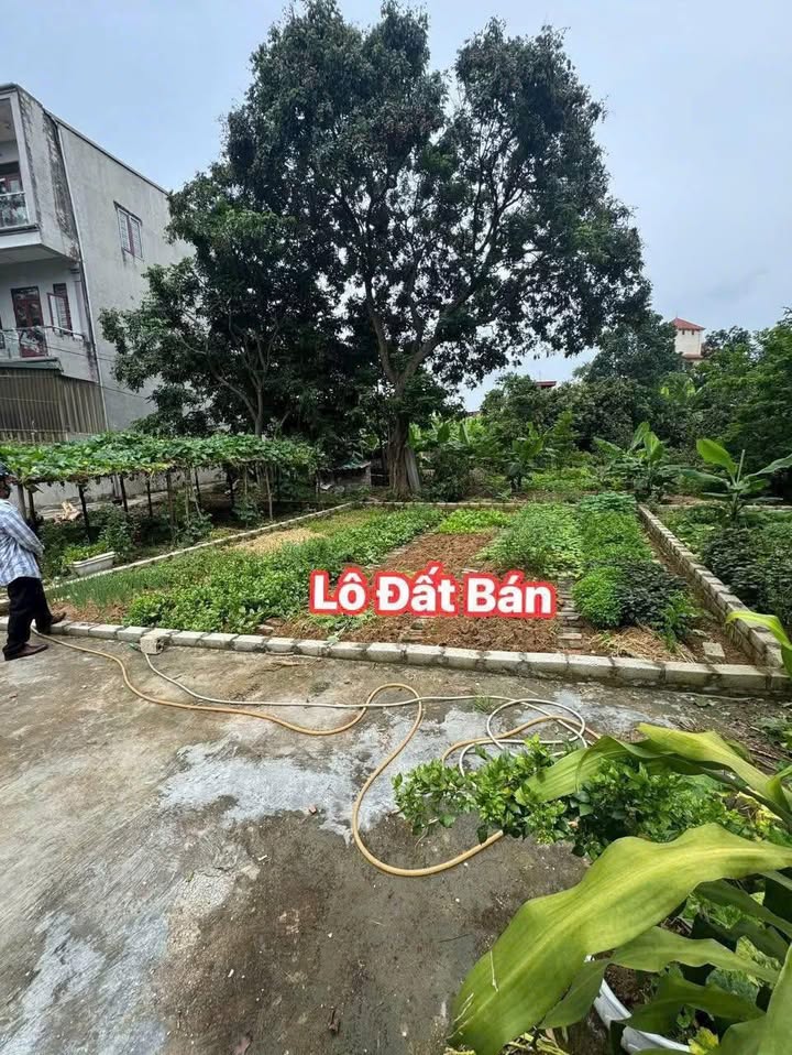 Căn hộ 61.2m² tại Trung Sơn Trầm, Sơn Tây - Giá chỉ 1 tỷ, vị trí đẹp!