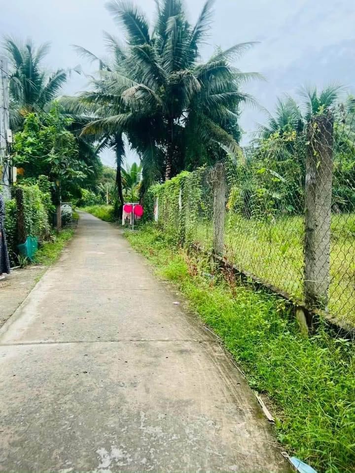 Đất nền Phước Thạnh, TP Mỹ Tho 110m² giá 599 triệu - Đường ô tô thuận tiện!