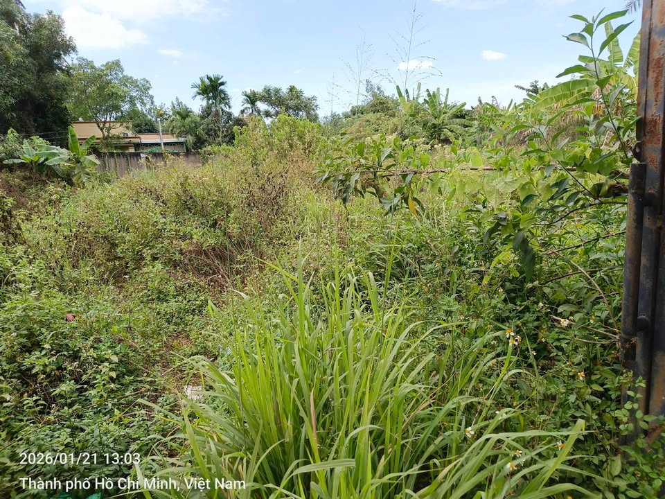 Đất nền đường số 9, Phường Long Phước, Thủ Đức 1087m² - Giá tốt cho đầu tư!