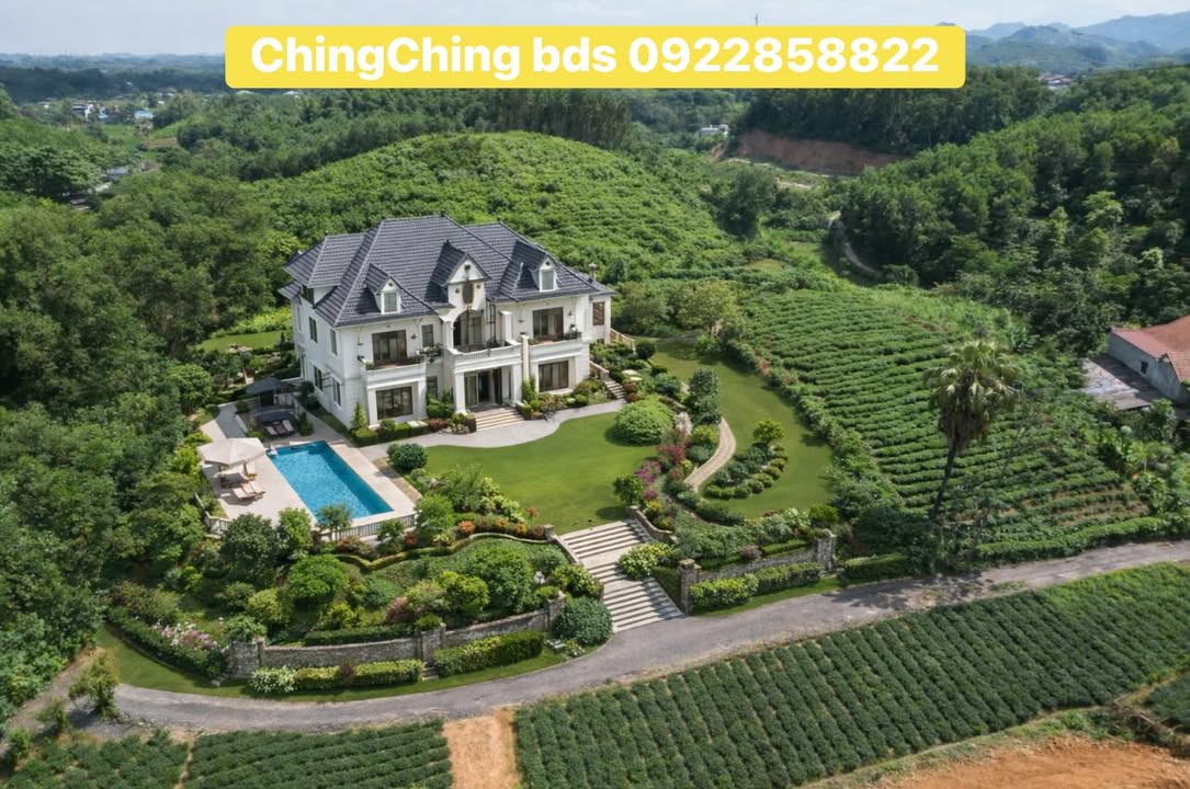 Đất nền 6000m² tại xã Vô Tranh, giá chỉ 2 tỷ - Đầu tư sinh lời tốt!