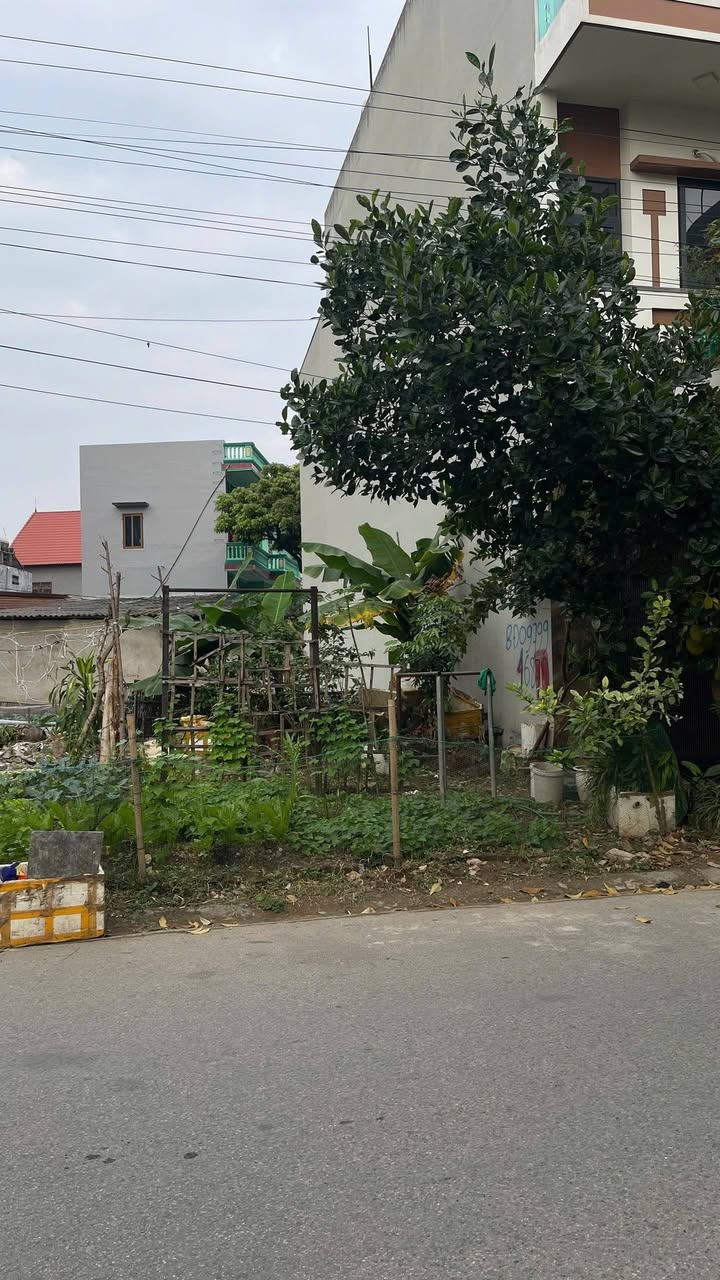 Đất nền khu DCS2 Giáp Văn Phúc, 80.8m² giá chỉ 6xx triệu - Hướng Tây Nam, đường 7.5m!