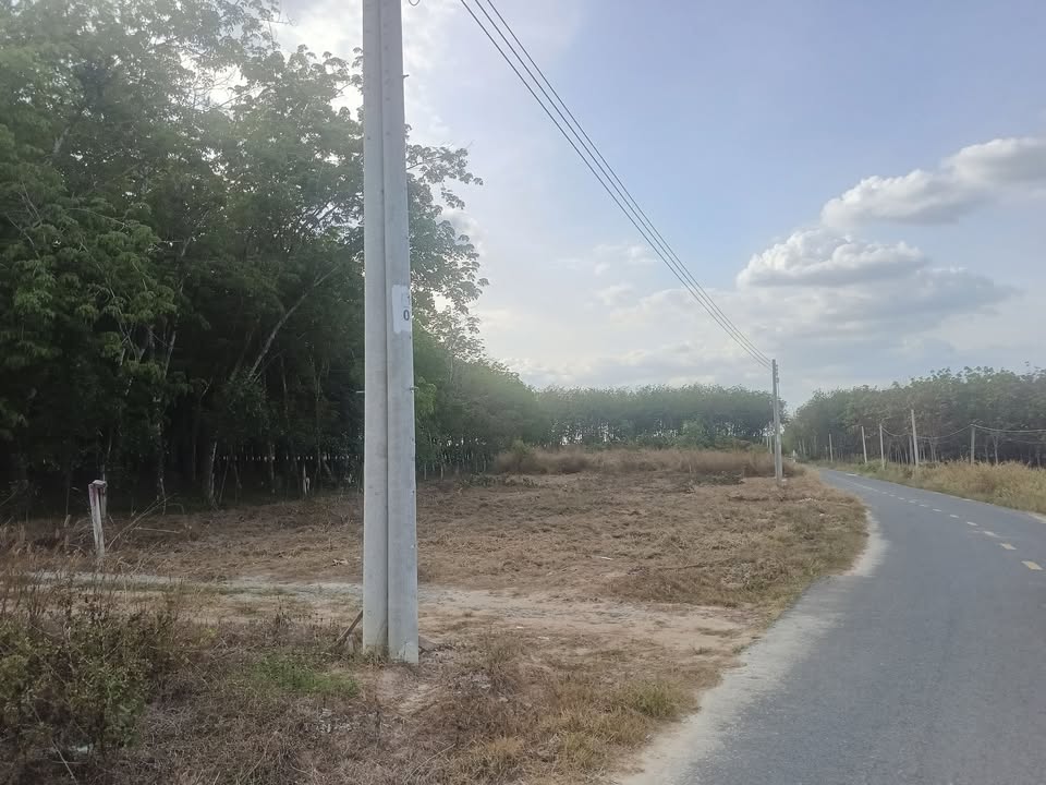 Đất nền đường Long Nguyên, Bàu Bàng, 300m² giá 1.6 tỷ - Cơ hội đầu tư hấp dẫn!