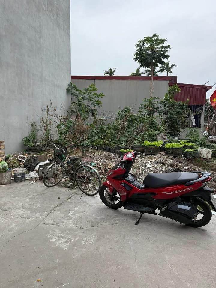 Đất nền Hồng Bàng Hải Phòng 58,2m² giá chỉ 870 triệu - Cơ hội đầu tư hấp dẫn!