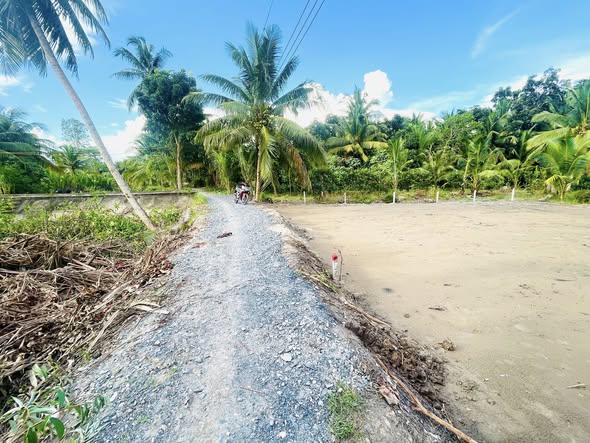 Lô đất nền 100m² xã Tân Lộc, Vĩnh Long giá chỉ 199 triệu - Sổ đỏ chính chủ!