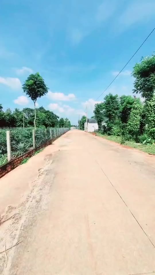 Kho cho thuê khu công nghiệp Tân An 10 triệu/tháng - Địa điểm lý tưởng cho doanh nghiệp!