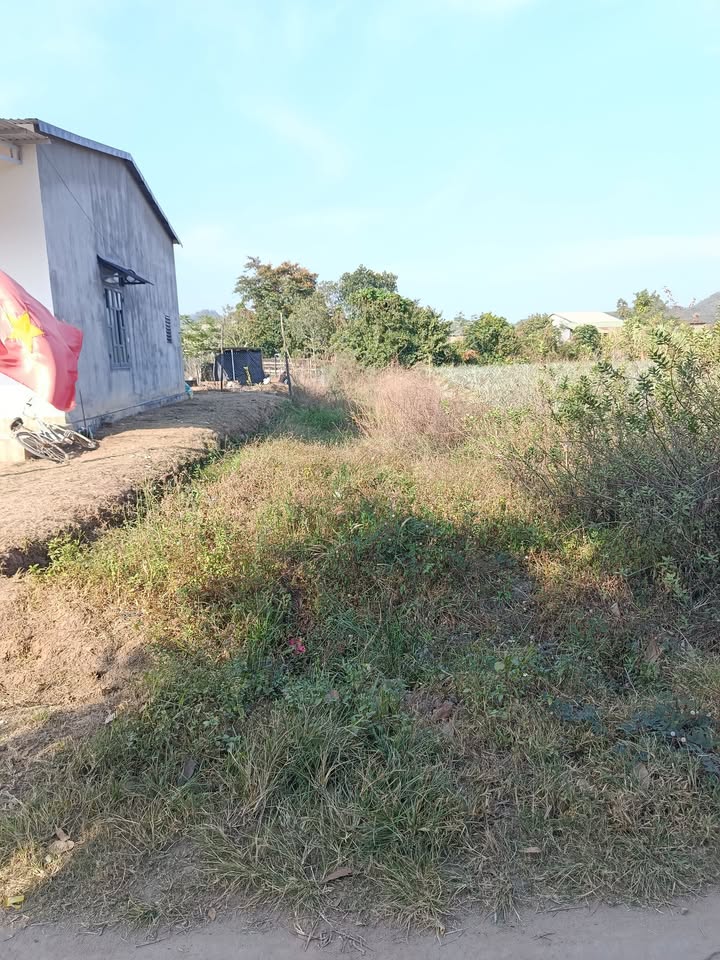 Đất thổ cư 270m² tại Thôn 10, Xã Chư KBô - Giá chỉ 240 triệu, bớt chút lộc!