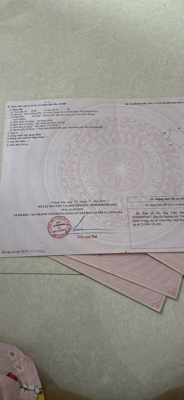 Đất nông nghiệp tại Xã Tri Hải, Huyện Ninh Hải, 25.200m² chỉ 266 triệu - Cơ hội đầu tư hấp dẫn!