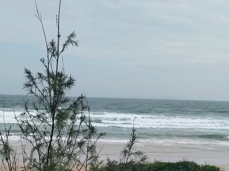 Đất đồi 2.5ha view biển Châu Tân - Quảng Ngãi giá tốt