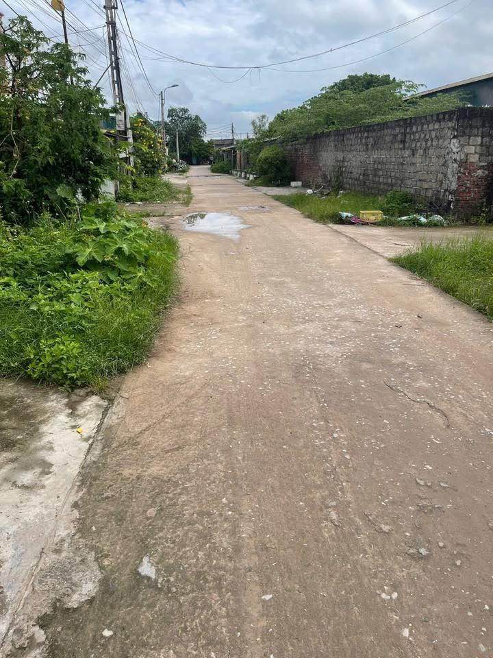 Đất nền khu 4 Hải Hoà 100m² giá chỉ 1.5 tỷ - Đường bê tông ô tô vào tận nơi!