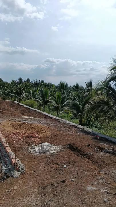 Đất thổ cư 125m² mặt tiền đường Nông Cơ Bàu Hàm, Đồng Nai - Giá chỉ 1 tỷ, thương lượng!