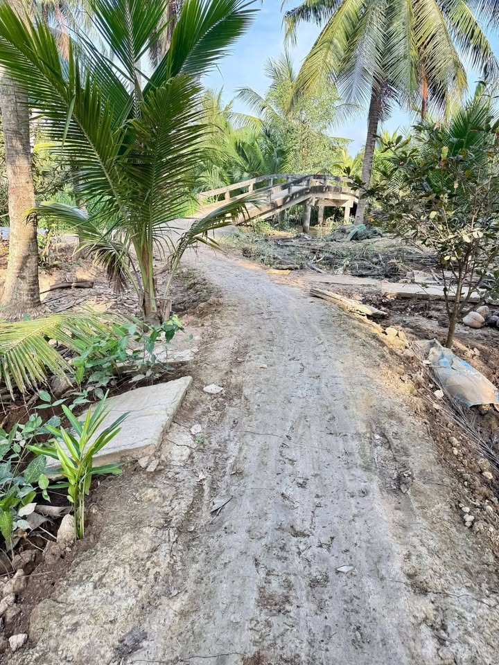 Đất vườn và ao 6.000m² tại xã Thạnh Trị, Bến Tre - Giá chỉ 1.32 tỷ!