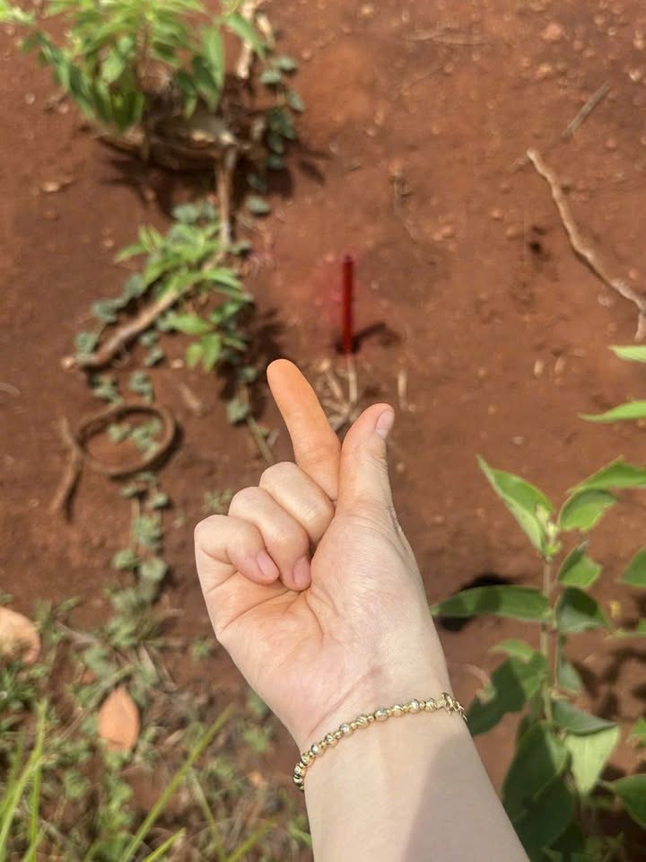 Đất nền xã Thuận Lợi, Đồng Phú 2000m² giá 295 triệu - Sổ hồng công chứng ngay!