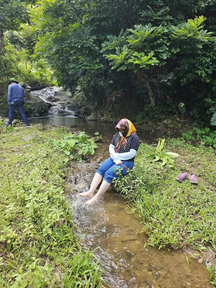 Đất Farm 8ha tại Huyện Yên Thủy, Hòa Bình - Giá 10 tỷ - Pháp lý rõ ràng
