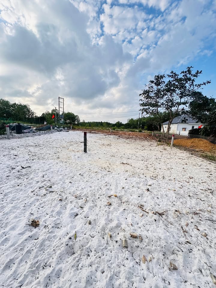 Đất nền mặt tiền tỉnh lộ 6, Huyện Phong Điền, 221m² giá chỉ 500 triệu - Cơ hội vàng cho nhà đầu tư!