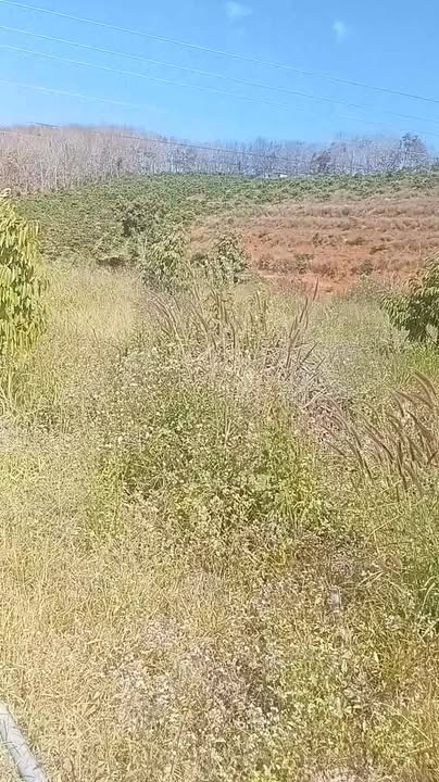 Đất nền 40,000m² tại xã Quảng Khê, Đăk Glong - Giá 3.3 tỷ, cơ hội đầu tư tốt!