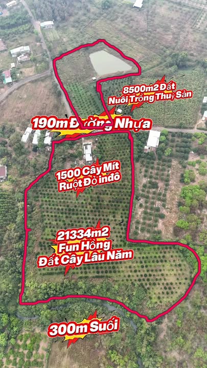 Đất nền Bàu Lâm, Xuyên Mộc 29,834m² - Đầu tư sinh lời ngay!