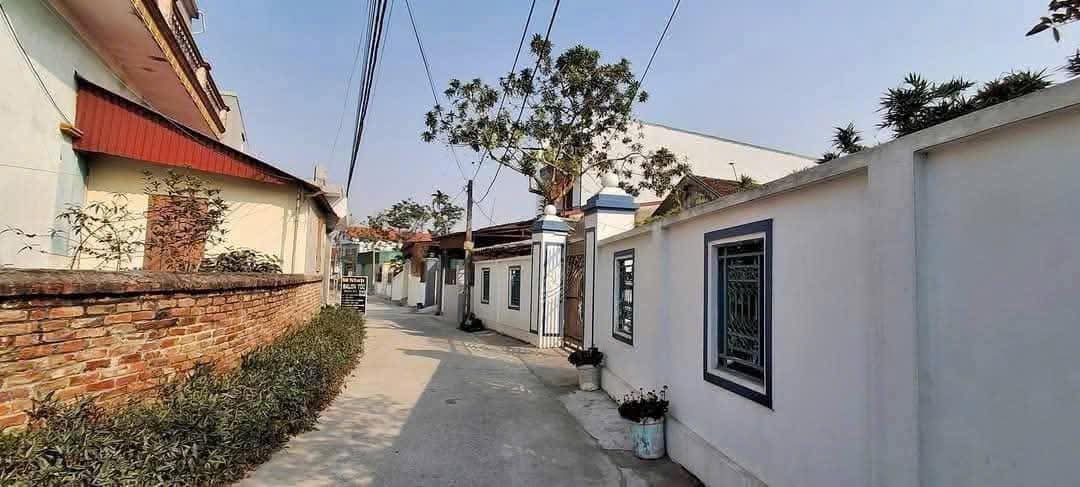 Đất nền Lương Điền, Cẩm Giàng 88m² giá 1.5 tỷ - Tiềm năng kinh doanh cao!