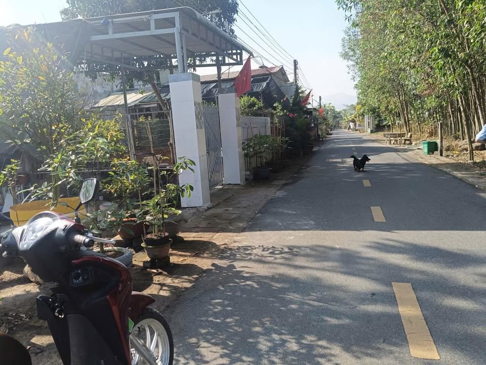 Đất nền Suối Nhum Hắc Dịch 155m² giá 1.65 tỷ - Sổ hồng chính chủ, đầu tư sinh lời!