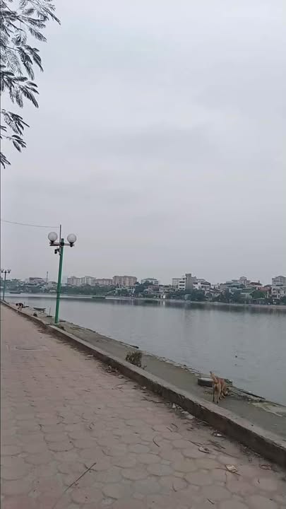 Nhà cấp 4 Định Công 65m² giá 10 tỷ - Tiềm năng sinh lời cao!