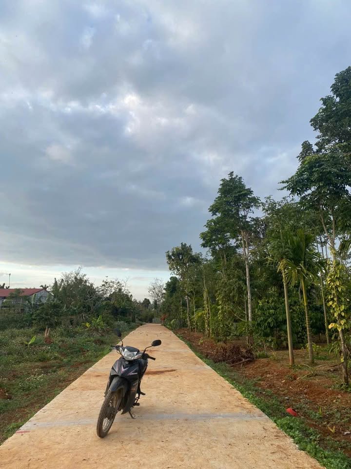 Đất thổ cư Hòa Thuận 215m² giá 650 triệu - Thương lượng hấp dẫn!