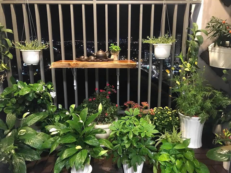 Căn hộ Sunrise City View Quận 7 109m² giá 10.2 tỷ - Nội thất cao cấp đầy đủ!