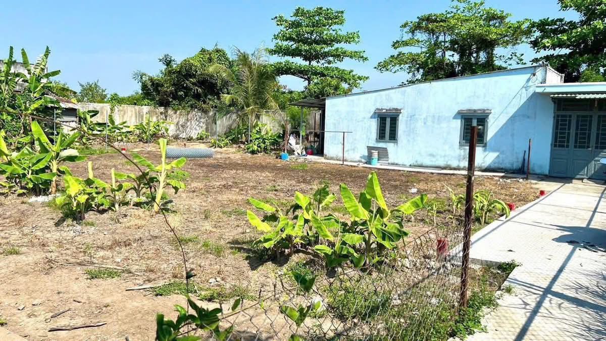 Đất nền thổ cư 88m² tại Ấp Lộc Tiền, Xã Mỹ Lộc - Giá chỉ 650 triệu VND!