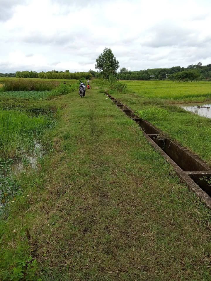 Đất nông nghiệp tại An Khương, Hớn Quản, 1080m² giá 200 triệu - Cơ hội đầu tư tuyệt vời!