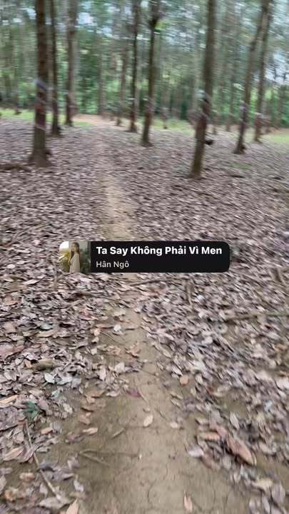 Đất vườn Long Hà Phú Riềng 24000m² giá 1.6 tỷ - Cơ hội đầu tư tuyệt vời!