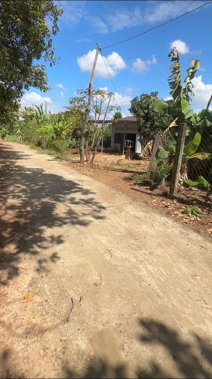 Đất thổ cư 791m² tại Thôn 5, Xã Ea Bung, Đắk Lắk - Sổ đỏ chính chủ, giá chỉ 175 triệu!