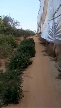 Đất nền Đường Ôtô, P12, Đà Lạt 60m² giá 450 triệu - Sổ đỏ chính chủ