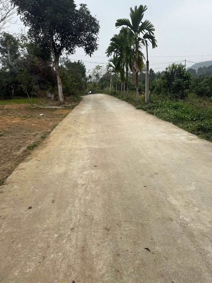 Đất thổ cư Lưỡng Vượng 220m² giá chỉ 700 triệu - Sổ hồng chính chủ!