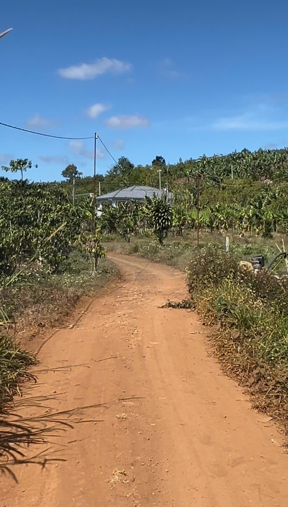 Đất thổ cư 1,5 sào Lộc Đức, Bảo Lâm chỉ 950 triệu - Bán gấp trước Tết!