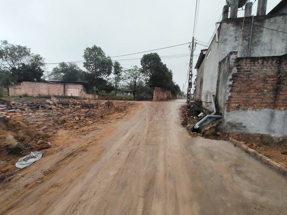 Đất nền Xã Hướng Đạo, Huyện Tam Dương, 100m² chỉ 300 triệu - Sổ đỏ chính chủ, đầu tư tiềm năng!