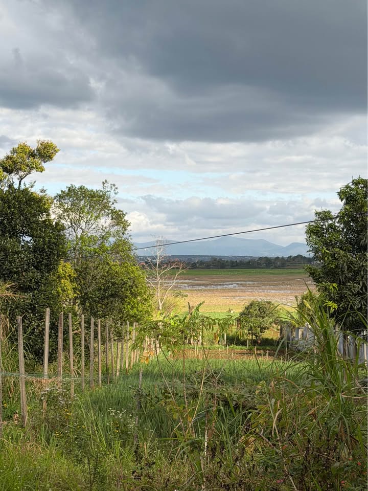 Đất Farm Trà Đa, Pleiku 1350m² giá 2.5 tỷ - Phù hợp đầu tư và nghỉ dưỡng!