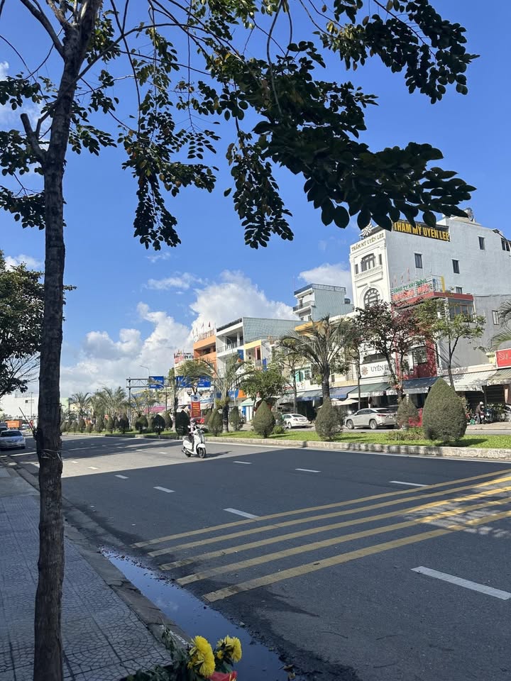 Đất mặt tiền Nguyễn Hữu Thọ, Khuê Trung 115m² giá 14 tỷ - Đầu tư sinh lời!