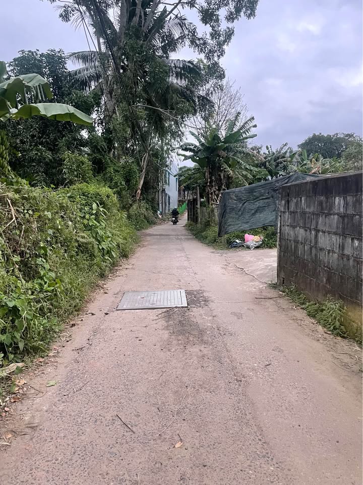 Bán đất thôn Phước Hưng, xã Hòa Ninh, Đà Nẵng - 125m², giá 1.1 tỷ, vị trí đắc địa!