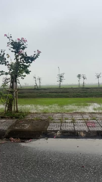 Đất nền lối 2 Nguyễn Đổng Chi, 160m² - Cơ hội đầu tư nhanh chóng!