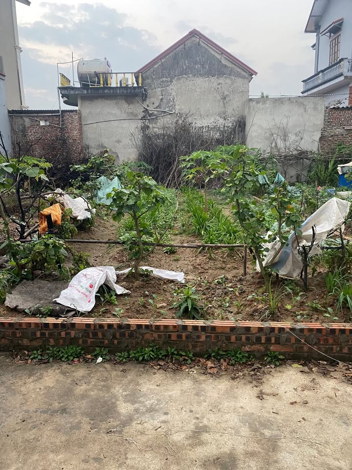 Đất nền thôn Sen Hồ, Gia Lâm 58m² giá 2.55 tỷ - Sổ đỏ chính chủ!