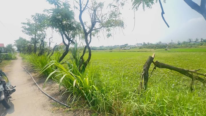 Đất nền Sơn Qui B, Gò Công, 175m² giá chỉ 230 triệu - Sổ đỏ chính chủ!