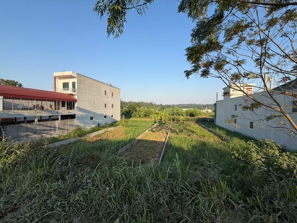 Đất mặt đường 317, xã Đồng Trung, 125m² giá chỉ 20 triệu/m² - Pháp lý rõ ràng, đầu tư sinh lời!