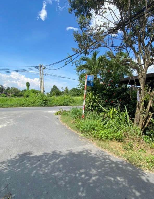 Đất nền mặt tiền 218 xã Tân Thông Hội, huyện Củ Chi 100m² giá 2.25 tỷ - Pháp lý rõ ràng