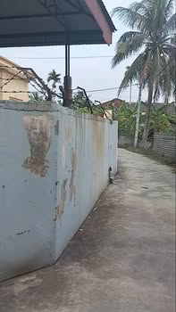 Đất thổ cư tại thôn An Hộ, xã Cẩm Xá, 129m² - Sổ đỏ chính chủ!