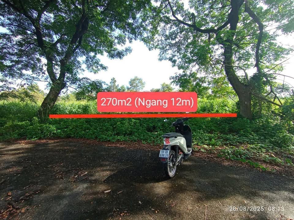 Đất nền KDC BCR Đại Học Mở Quận 9 270m² giá 11.5 tỷ - Cơ hội đầu tư lý tưởng!